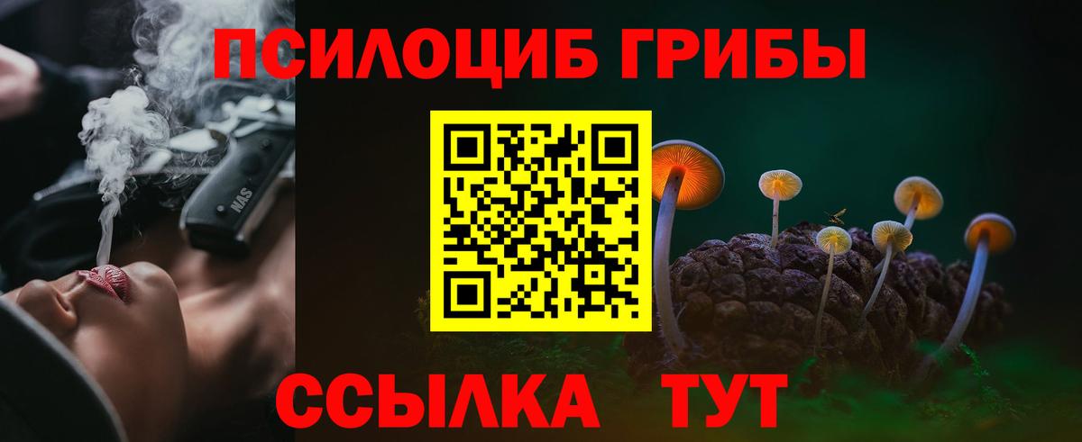 Галлюциногенные грибы Cubensis  Вход с VPN  Владимир 
